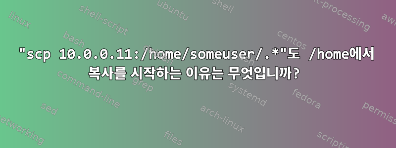 "scp 10.0.0.11:/home/someuser/.*"도 /home에서 복사를 시작하는 이유는 무엇입니까?