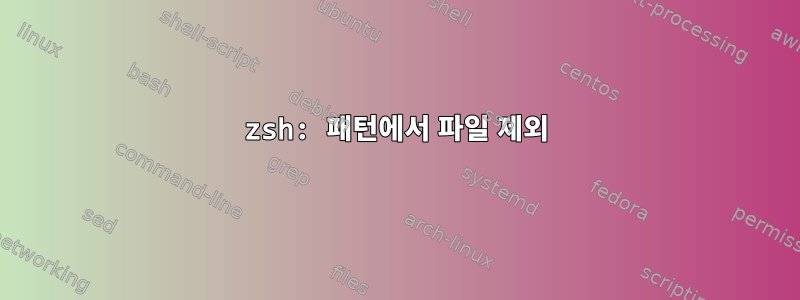 zsh: 패턴에서 파일 제외