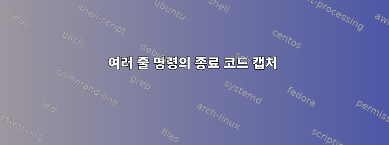 여러 줄 명령의 종료 코드 캡처