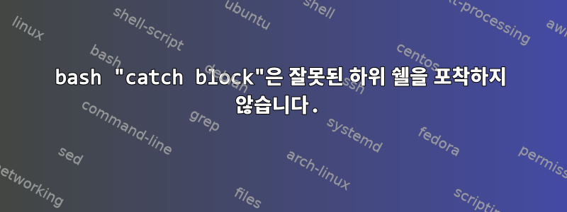 bash "catch block"은 잘못된 하위 쉘을 포착하지 않습니다.