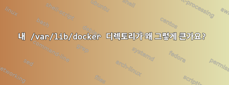 내 /var/lib/docker 디렉토리가 왜 그렇게 큰가요?