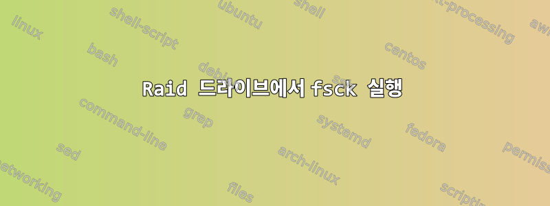 Raid 드라이브에서 fsck 실행