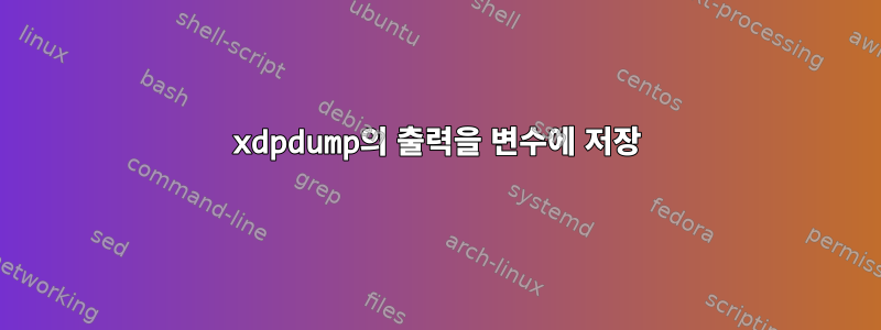 xdpdump의 출력을 변수에 저장