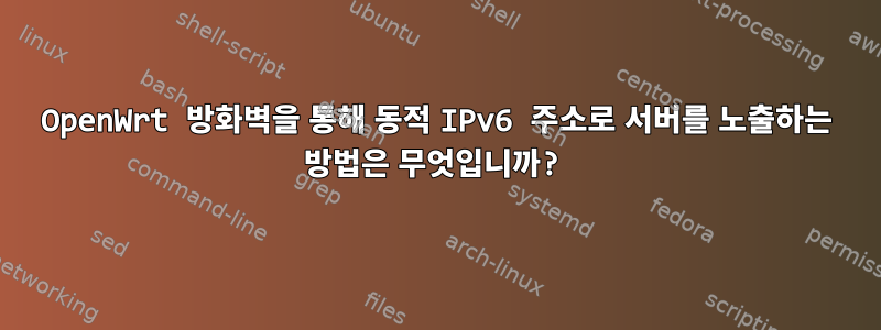 OpenWrt 방화벽을 통해 동적 IPv6 주소로 서버를 노출하는 방법은 무엇입니까?