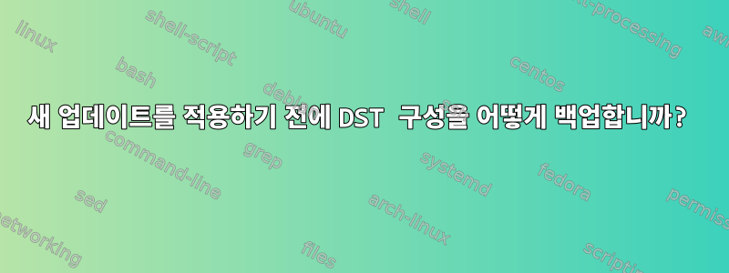 새 업데이트를 적용하기 전에 DST 구성을 어떻게 백업합니까?