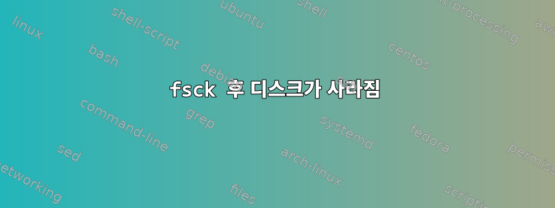 fsck 후 디스크가 사라짐