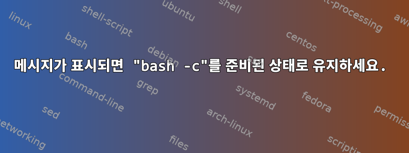 메시지가 표시되면 "bash -c"를 준비된 상태로 유지하세요.