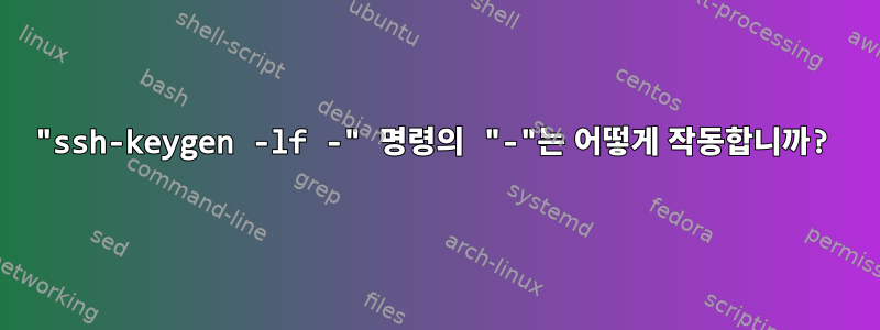 "ssh-keygen -lf -" 명령의 "-"는 어떻게 작동합니까?