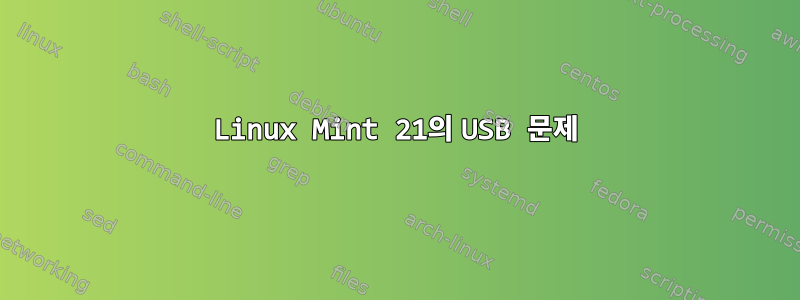 Linux Mint 21의 USB 문제