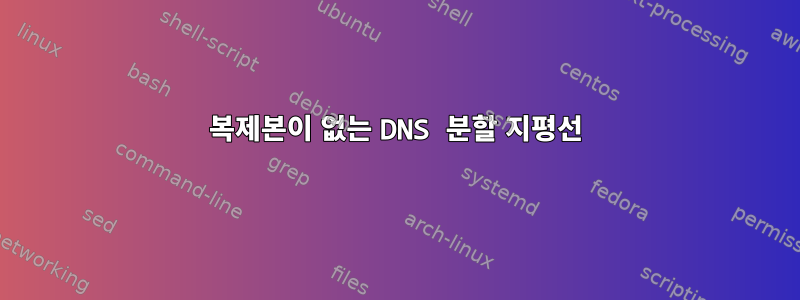 복제본이 없는 DNS 분할 지평선