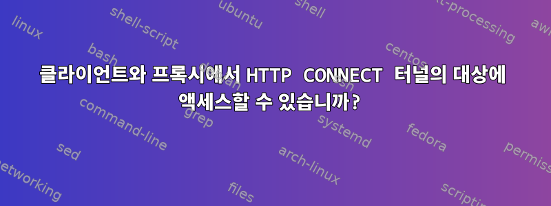 클라이언트와 프록시에서 HTTP CONNECT 터널의 대상에 액세스할 수 있습니까?