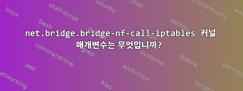 net.bridge.bridge-nf-call-iptables 커널 매개변수는 무엇입니까?