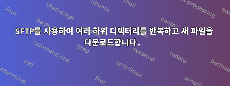 SFTP를 사용하여 여러 하위 디렉터리를 반복하고 새 파일을 다운로드합니다.