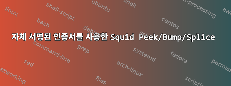 자체 서명된 인증서를 사용한 Squid Peek/Bump/Splice