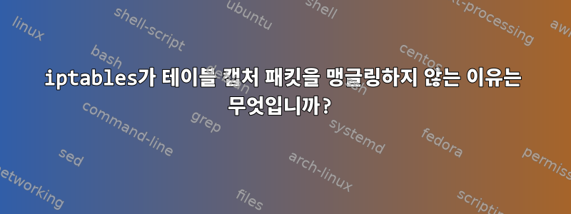 iptables가 테이블 캡처 패킷을 맹글링하지 않는 이유는 무엇입니까?