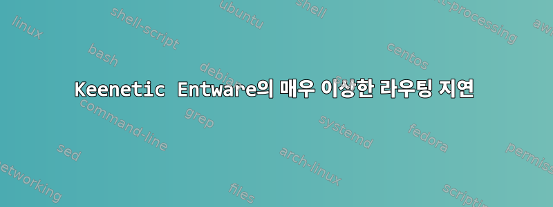 Keenetic Entware의 매우 이상한 라우팅 지연