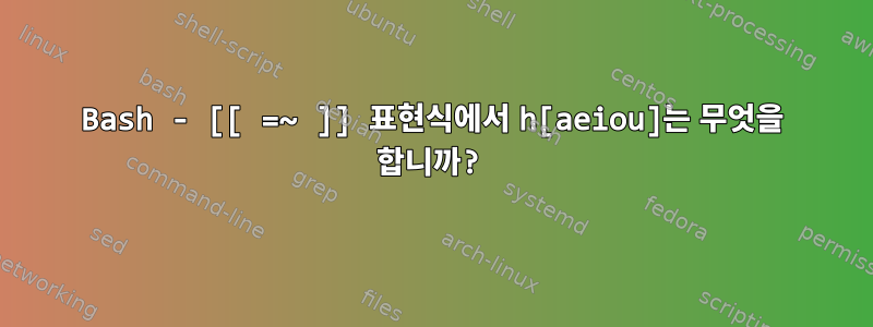 Bash - [[ =~ ]] 표현식에서 h[aeiou]는 무엇을 합니까?