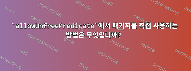 `allowUnfreePredicate`에서 패키지를 직접 사용하는 방법은 무엇입니까?