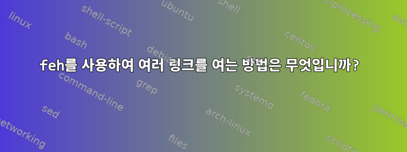 feh를 사용하여 여러 링크를 여는 방법은 무엇입니까?