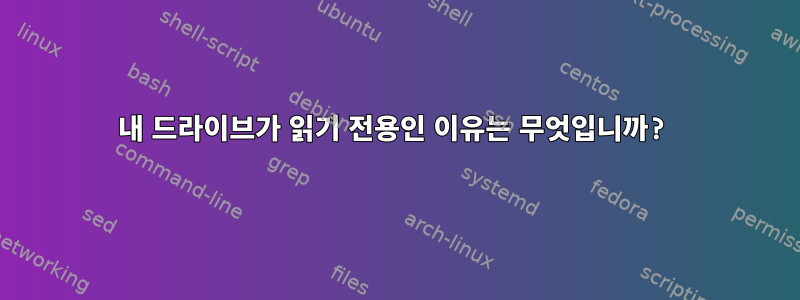 내 드라이브가 읽기 전용인 이유는 무엇입니까?