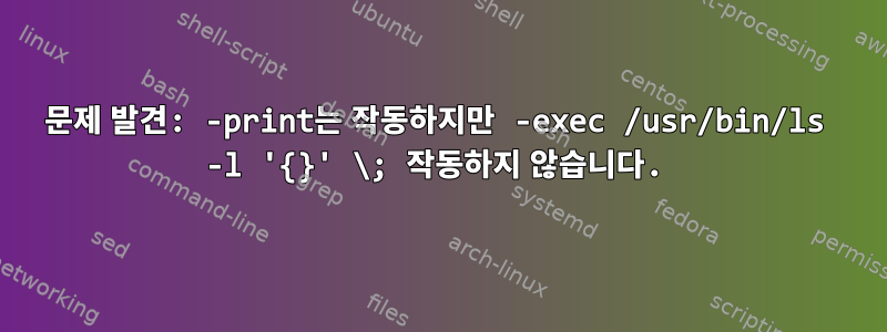 문제 발견: -print는 작동하지만 -exec /usr/bin/ls -l '{}' \; 작동하지 않습니다.