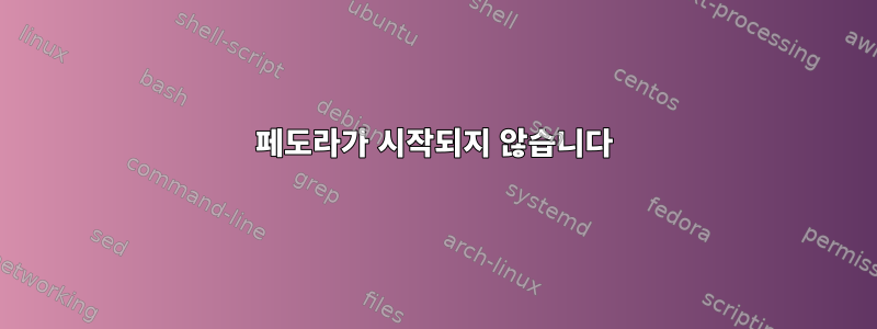 페도라가 시작되지 않습니다