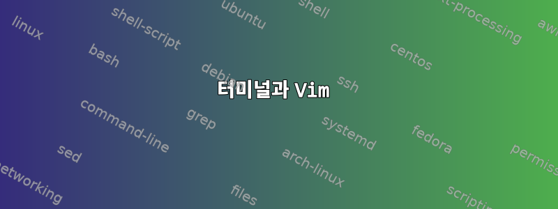 터미널과 Vim