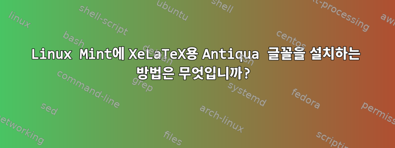 Linux Mint에 XeLaTeX용 Antiqua 글꼴을 설치하는 방법은 무엇입니까?