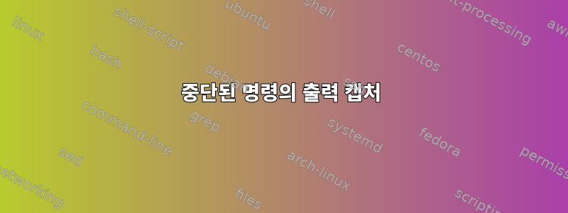 중단된 명령의 출력 캡처