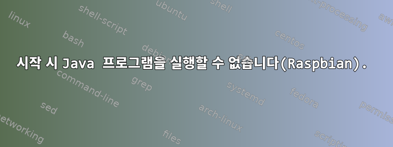 시작 시 Java 프로그램을 실행할 수 없습니다(Raspbian).