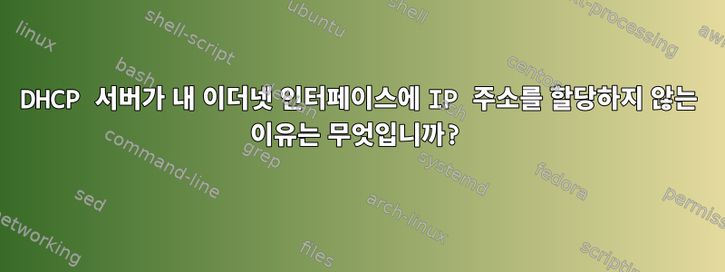 DHCP 서버가 내 이더넷 인터페이스에 IP 주소를 할당하지 않는 이유는 무엇입니까?