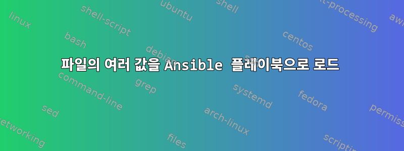 파일의 여러 값을 Ansible 플레이북으로 로드