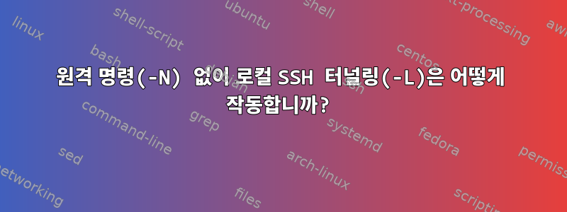 원격 명령(-N) 없이 로컬 SSH 터널링(-L)은 어떻게 작동합니까?