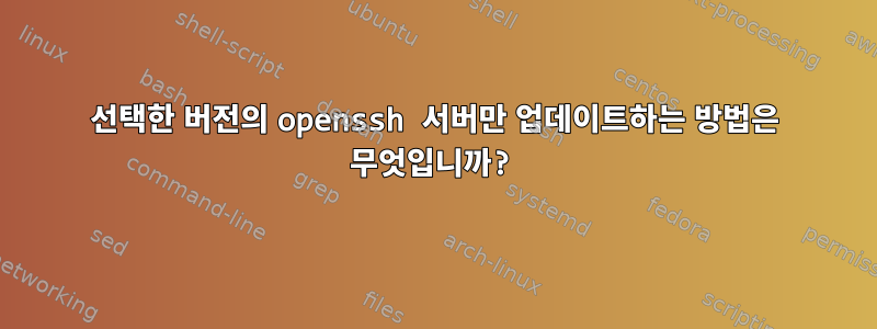 선택한 버전의 openssh 서버만 업데이트하는 방법은 무엇입니까?