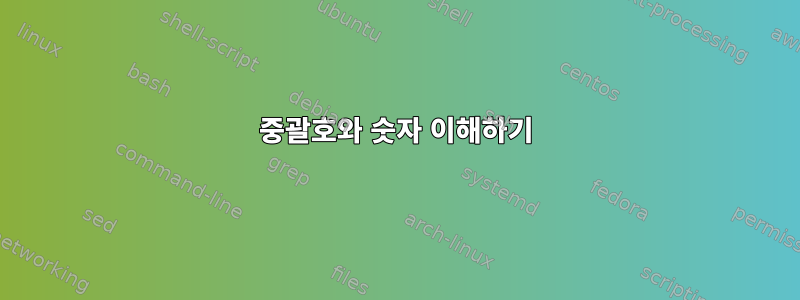 중괄호와 숫자 이해하기