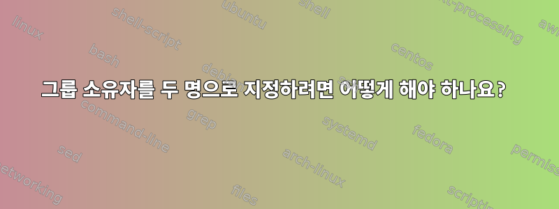 그룹 소유자를 두 명으로 지정하려면 어떻게 해야 하나요?