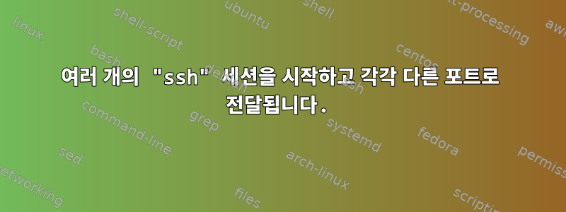 여러 개의 "ssh" 세션을 시작하고 각각 다른 포트로 전달됩니다.