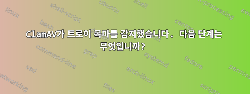 ClamAV가 트로이 목마를 감지했습니다. 다음 단계는 무엇입니까?