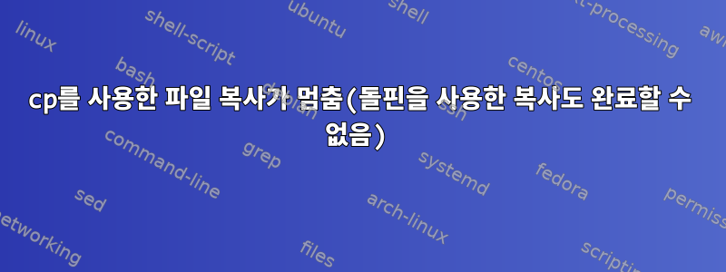 cp를 사용한 파일 복사가 멈춤(돌핀을 사용한 복사도 완료할 수 없음)