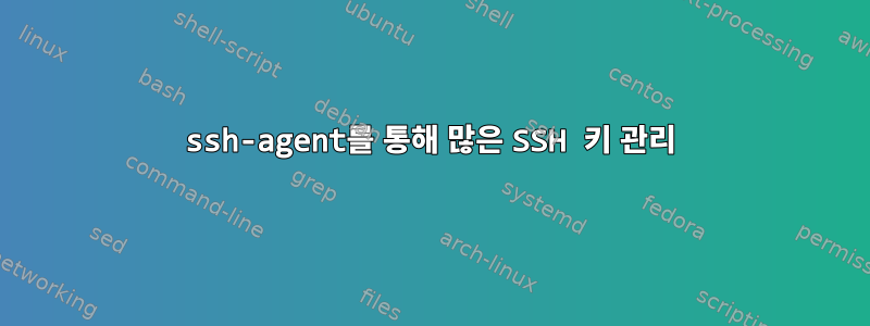 ssh-agent를 통해 많은 SSH 키 관리