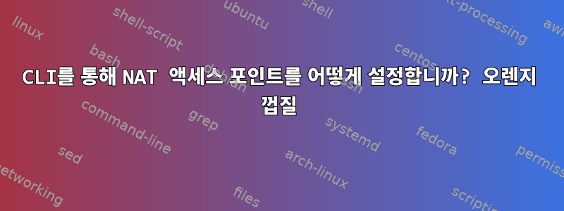 CLI를 통해 NAT 액세스 포인트를 어떻게 설정합니까? 오렌지 껍질