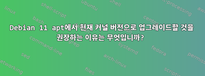 Debian 11 apt에서 현재 커널 버전으로 업그레이드할 것을 권장하는 이유는 무엇입니까?