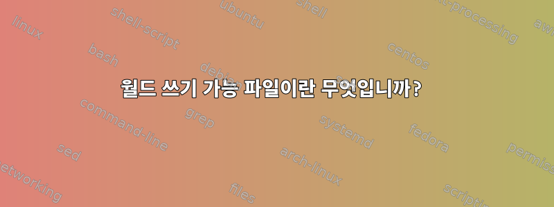 월드 쓰기 가능 파일이란 무엇입니까?