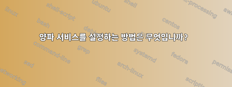 양파 서비스를 설정하는 방법은 무엇입니까?