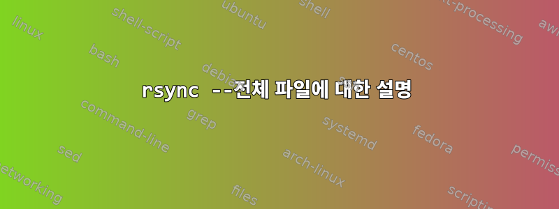 rsync --전체 파일에 대한 설명