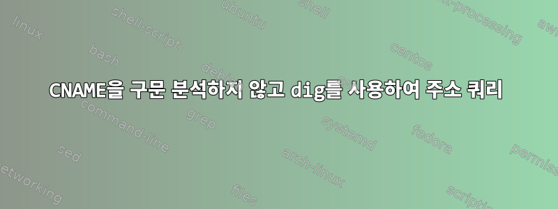 CNAME을 구문 분석하지 않고 dig를 사용하여 주소 쿼리