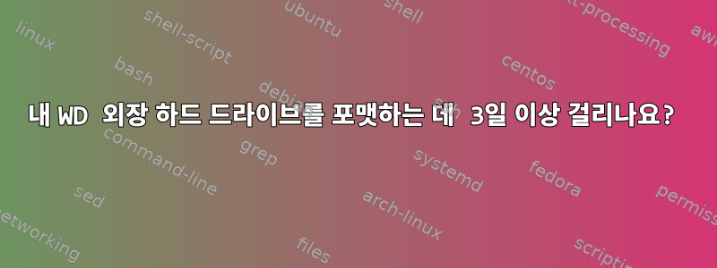 내 WD 외장 하드 드라이브를 포맷하는 데 3일 이상 걸리나요?