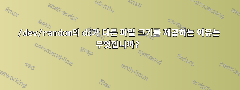 /dev/random의 dd가 다른 파일 크기를 제공하는 이유는 무엇입니까?