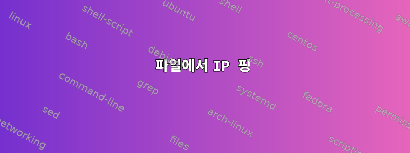 파일에서 IP 핑