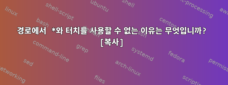 경로에서 *와 터치를 사용할 수 없는 이유는 무엇입니까? [복사]